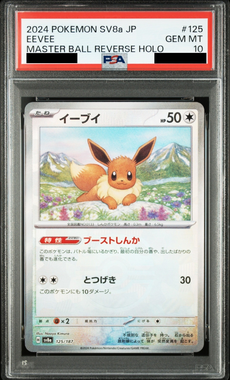PSA10】 イーブイ (マスターボールミラー) {125/187} [SV8a/テラスタル