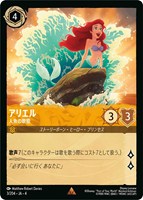 アナ 誠心なる姫君【ロルカナお買得価格通販：CBトレコロ】