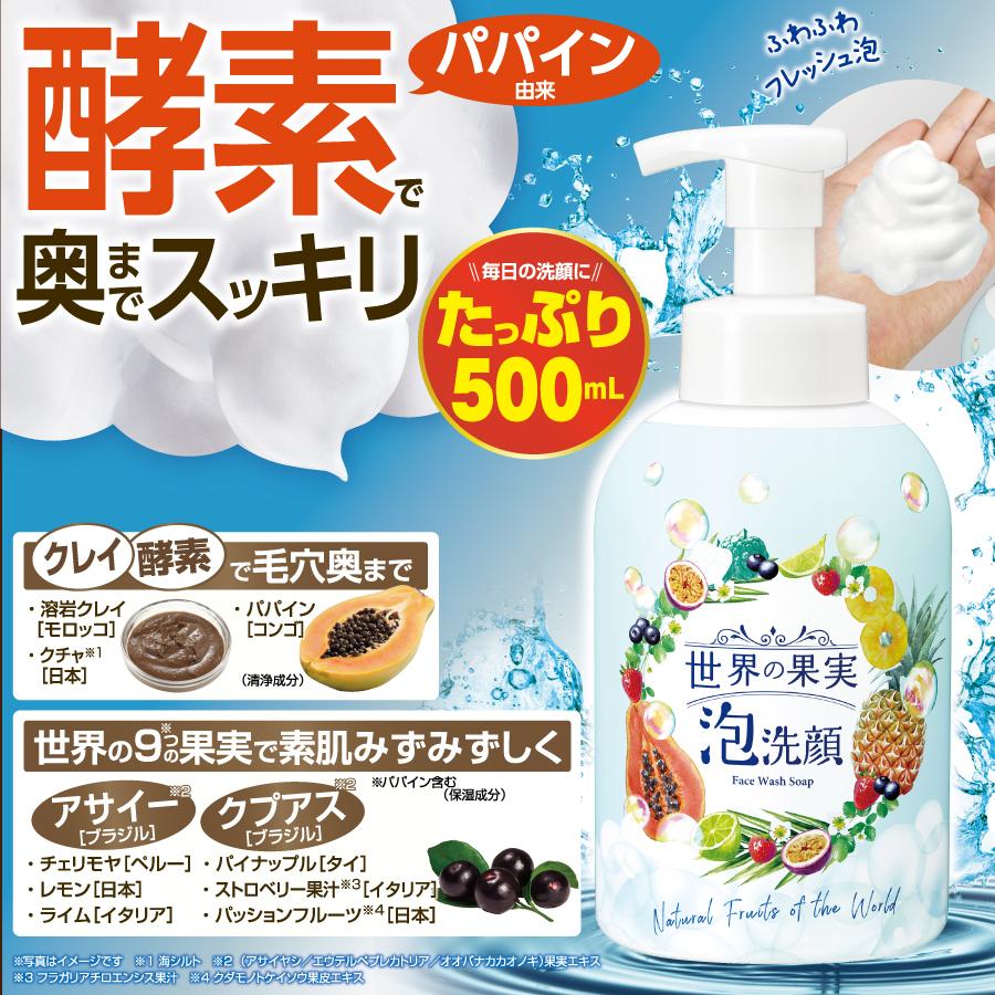公式】 世界の果実 すっきり泡洗顔 500mL ボトル 本体 洗顔 泡洗顔