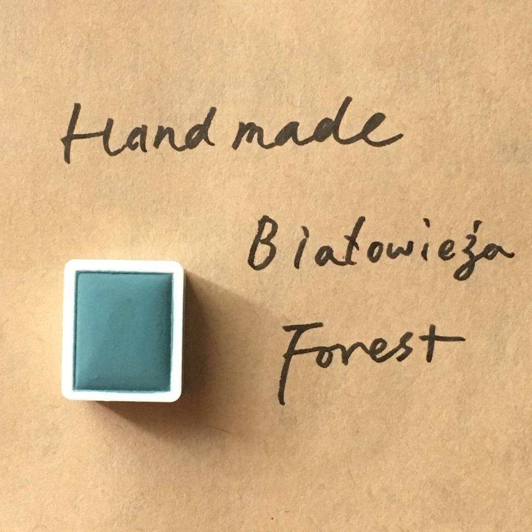 Białowieża Forest
