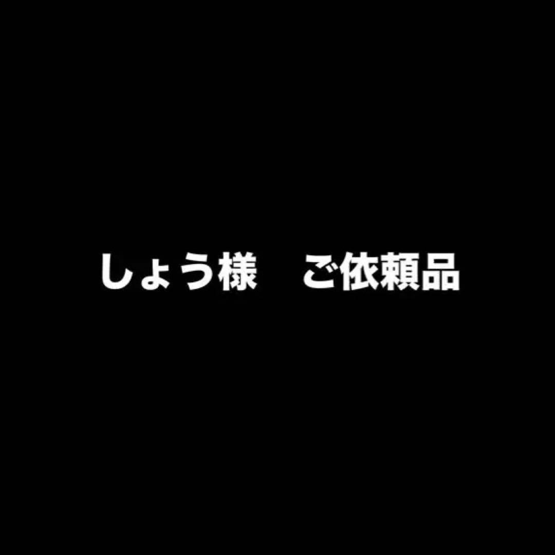 しょう様　ご依頼品