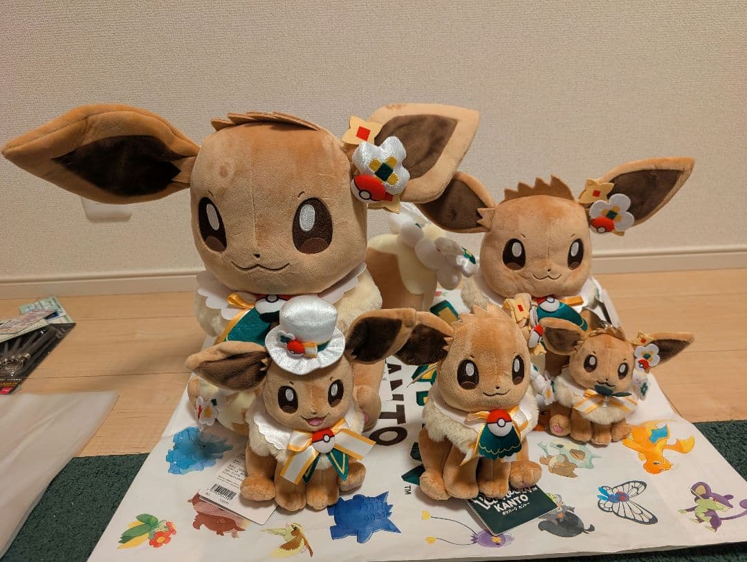 ポケパークカントー　ピンバッジ　限定 イーブイ　ぬいぐるみ5体セット