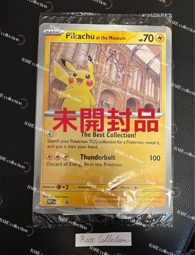 Pikachu at the Museum ピカチュウ ロンドン自然史博物館⑦
